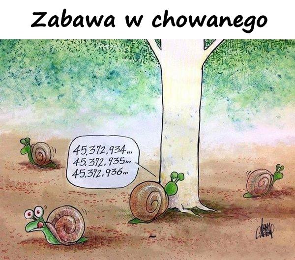 Zabawa w chowanego