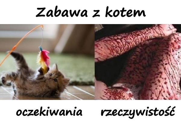 Zabawa z kotem