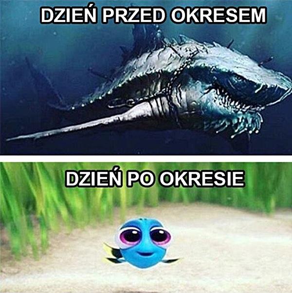 Zachowanie kobiety przed i po menstruacji