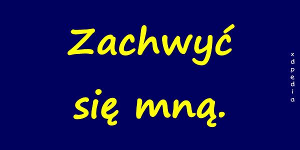 Zachwyć się mną