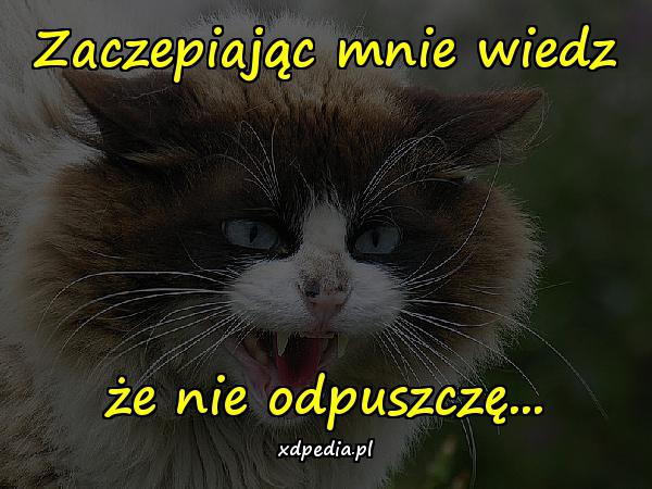 Zaczepiając mnie wiedz, że nie odpuszczę