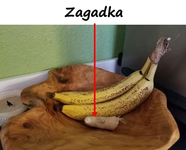 Zagadka