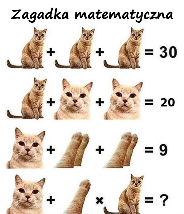 Zagadka matematyczna