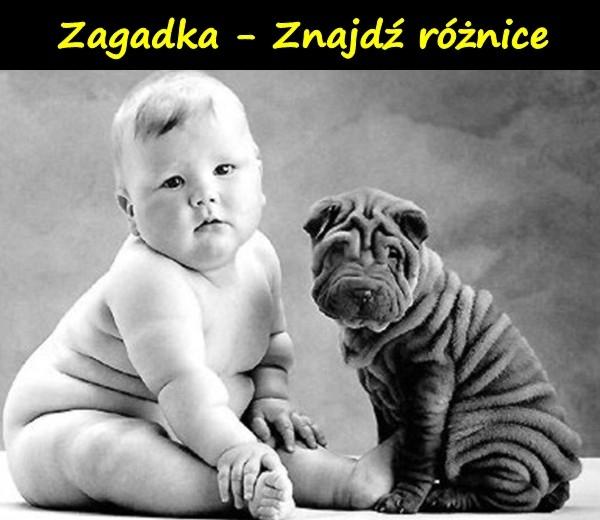 Zagadka - Znajdź różnice