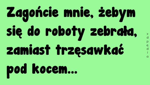 Zagońcie mnie, żebym się do roboty zebrała, zamiast