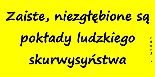 Zaiste, niezgłębione są pokłady ludzkiego skurwysyństwa