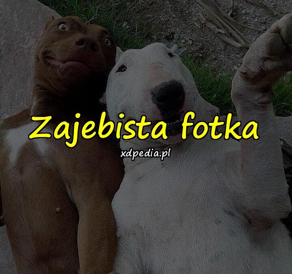 Zajebista fotka