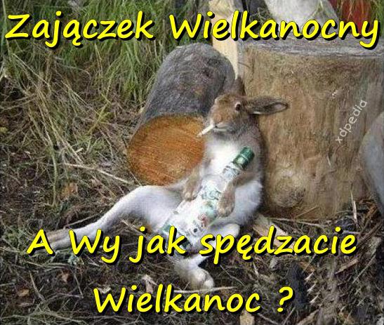 Zajączek Wielkanocny. A Wy jak spędzacie Wielkanoc