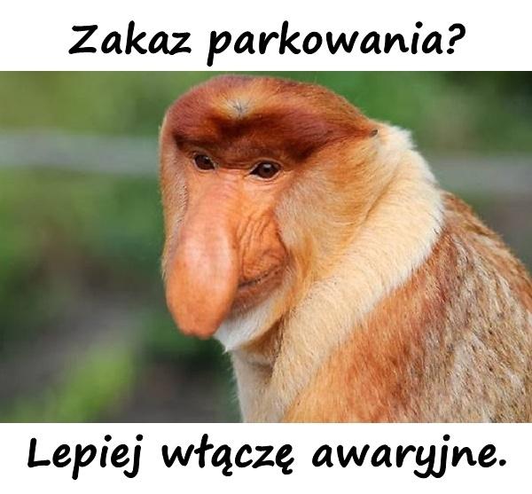 Zakaz parkowania? Lepiej włączę awaryjne