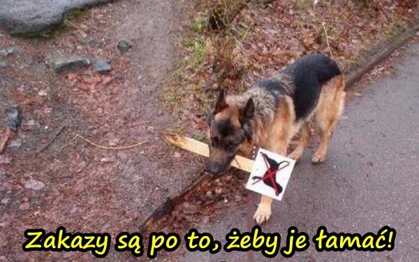 Zakazy są po to, żeby je łamać