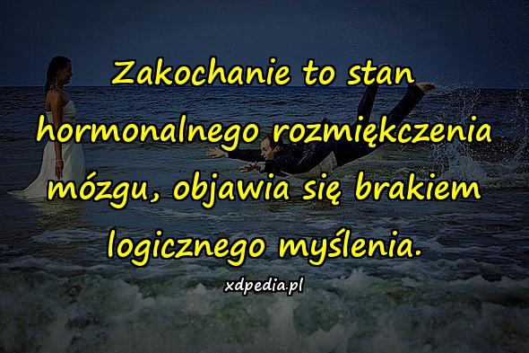 Zakochanie to stan hormonalnego rozmiękczenia mózgu