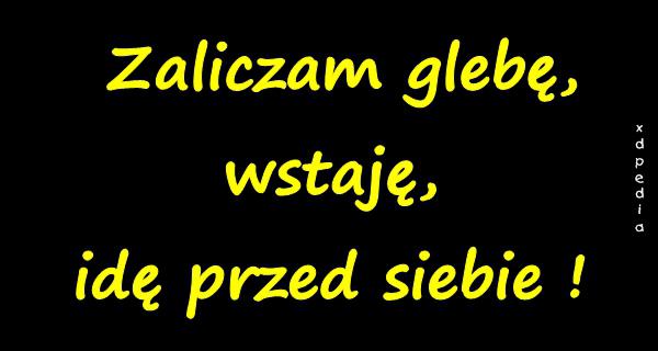 Zaliczam glebę, wstaję, idę przed siebie