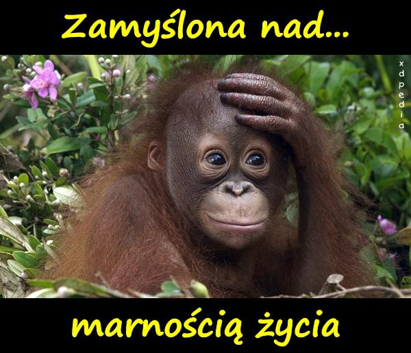 Zamyślona nad marnością życia