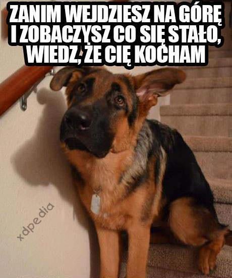 Zanim wejdziesz na górę i zobaczysz co się stało, wiedz, że