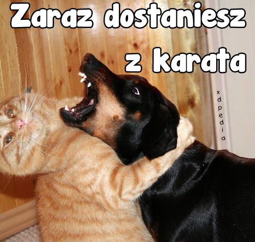 Zaraz dostaniesz z karata