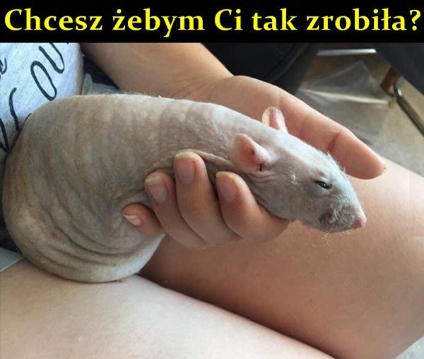 Zaraz zrobię tak z Tobą