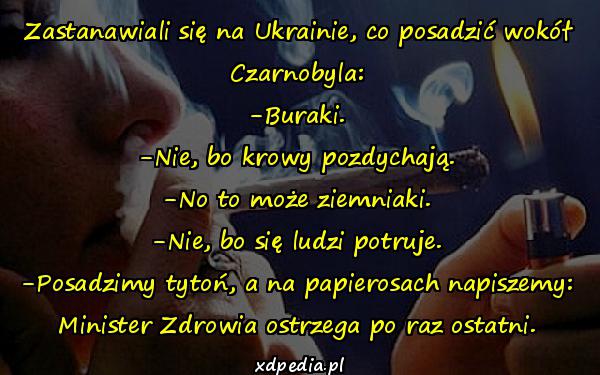 Zastanawiali się na Ukrainie, co posadzić wokół Czarnobyla