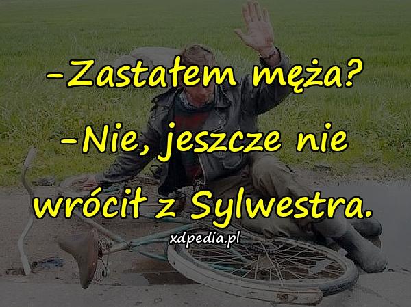 -Zastałem męża? -Nie, jeszcze nie wrócił z Sylwestra