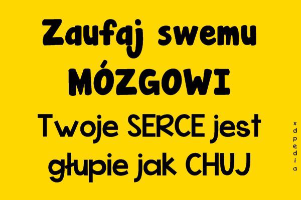 Zaufaj swemu MÓZGOWI. Twoje SERCE jest głupie jak CHUJ