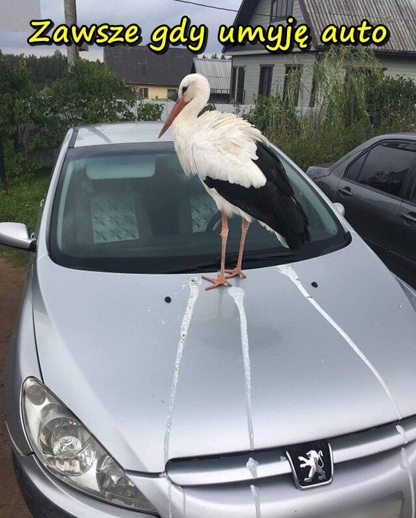 Zawsze gdy umyję auto