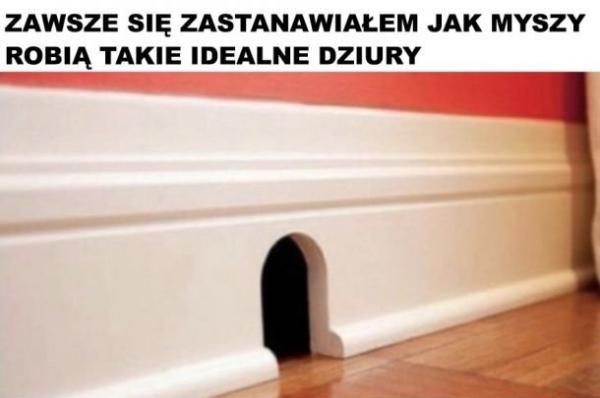 Zawsze się zastanawiałem jak myszy robią takie idealne