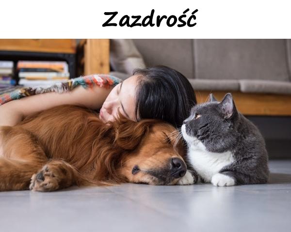 Zazdrość