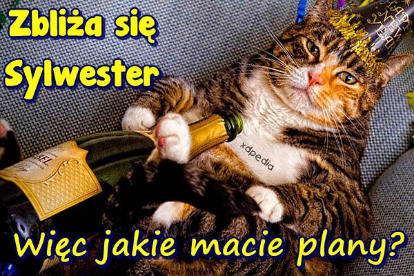 Zbliża się Sylwester! Więc jakie macie plany