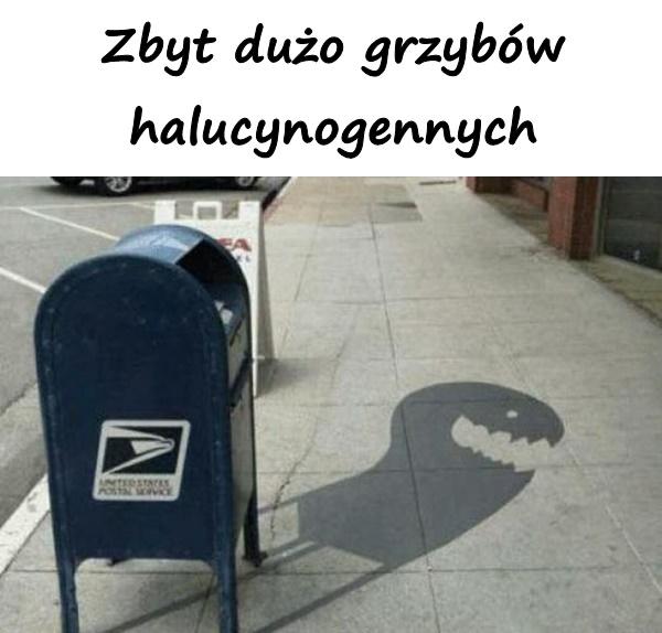 Zbyt dużo grzybów halucynogennych