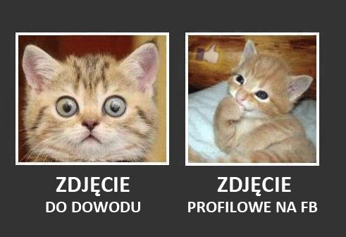 Zdjęcie do dowodu, zdjęcie na fb