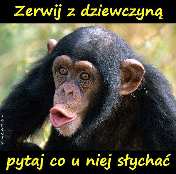 Zerwij z dziewczyną. Pytaj co u niej słychać