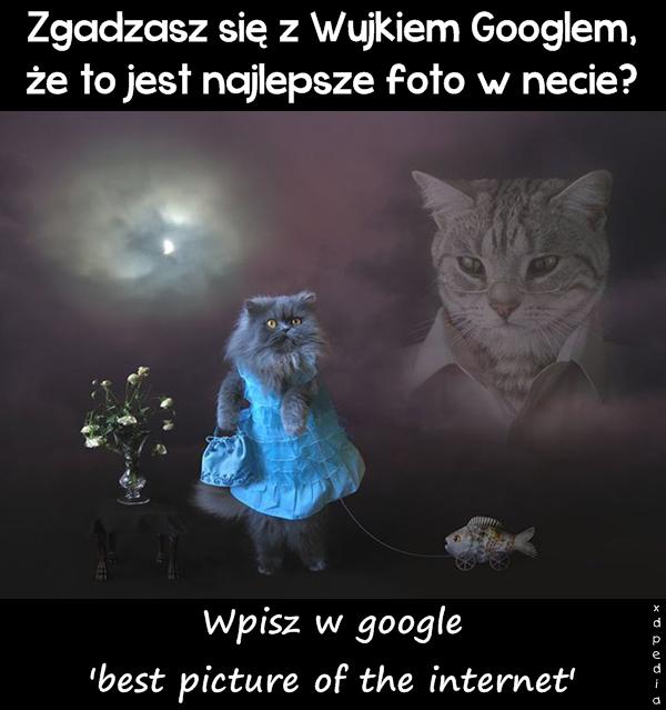 Zgadzasz się z Wujkiem Googlem, że to jest najlepsze foto w