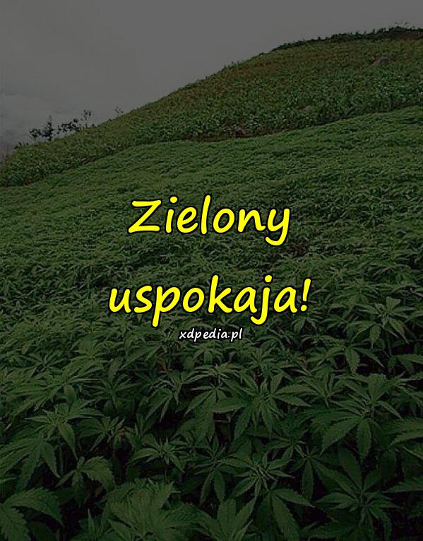 Zielony uspokaja