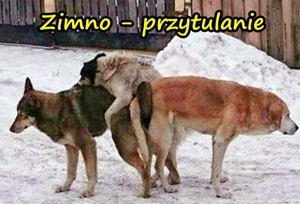 Zimno - przytulanie