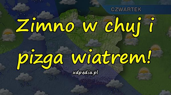 Zimno w chuj i pizga wiatrem