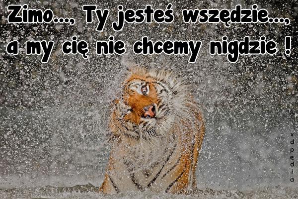 Zimo..., Ty jesteś wszędzie..., a my cię nie chcemy nigdzie