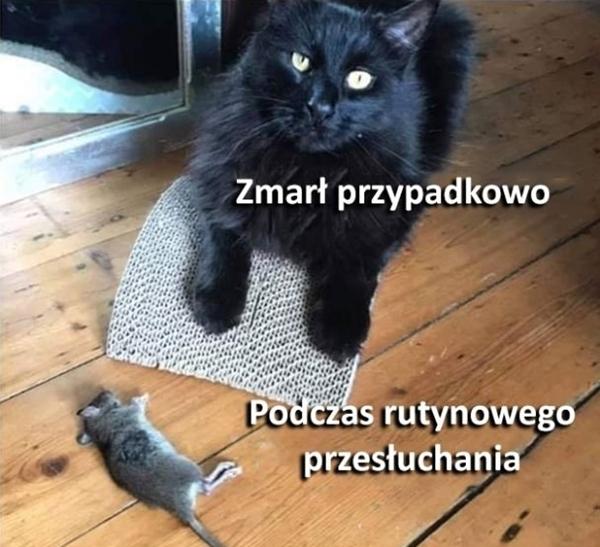 Zmarł przypadkowo, podczas rutynowego przesłuchania