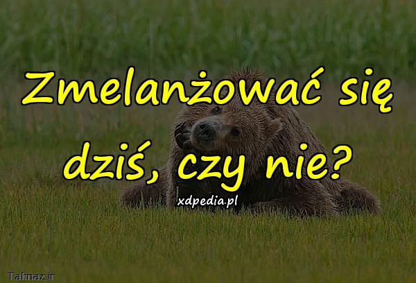 Zmelanżować się dziś, czy nie