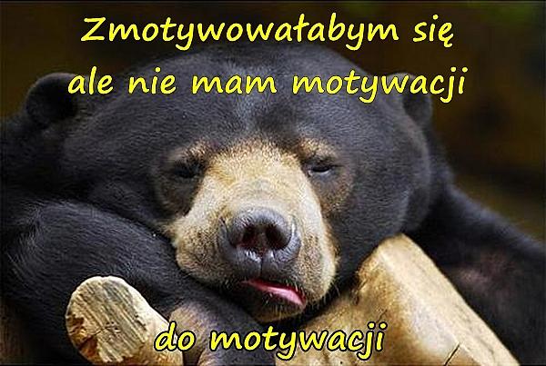 Zmotywowałabym się, ale nie mam motywacji do motywacji