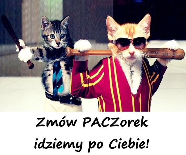 Zmów PACZorek, idziemy po Ciebie