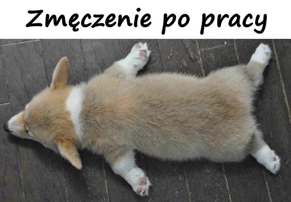 Zmęczenie po pracy