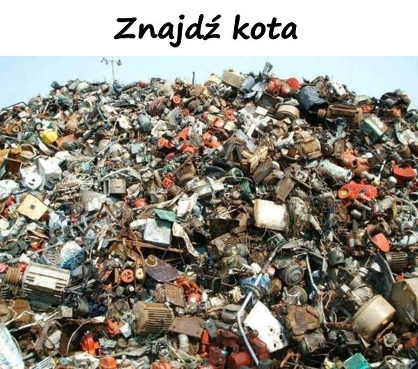 Znajdź kota