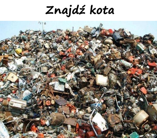 Znajdź kota