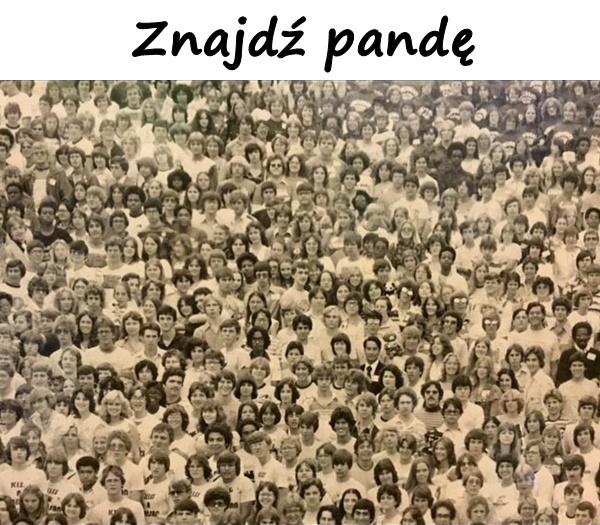 Znajdź pandę