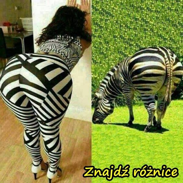 Znajdź różnice