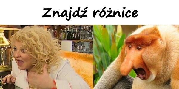 Znajdź różnice