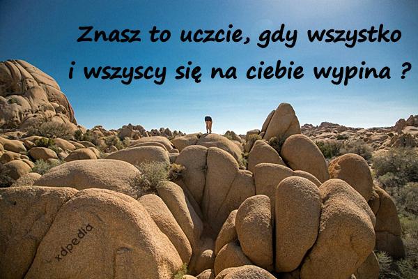 Znasz to uczcie, gdy wszystko i wszyscy się na ciebie