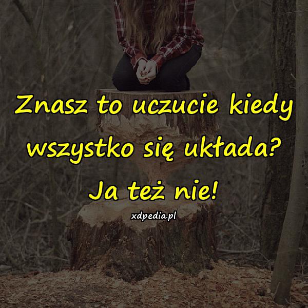 Znasz to uczucie kiedy wszystko się układa? Ja też nie