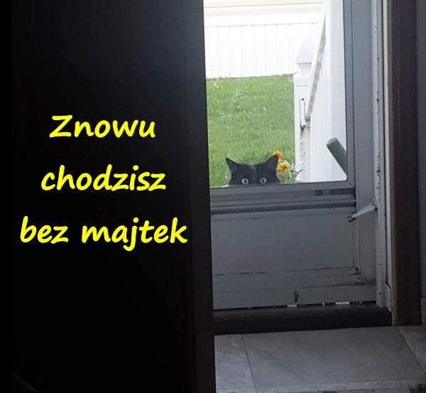 Znowu chodzisz bez majtek