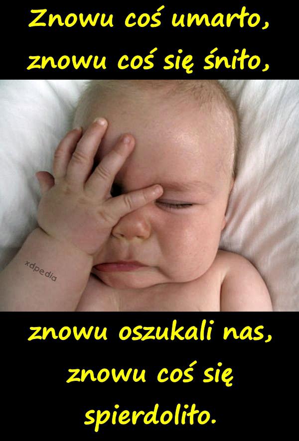 Znowu coś umarło, znowu coś się śniło, znowu oszukali nas