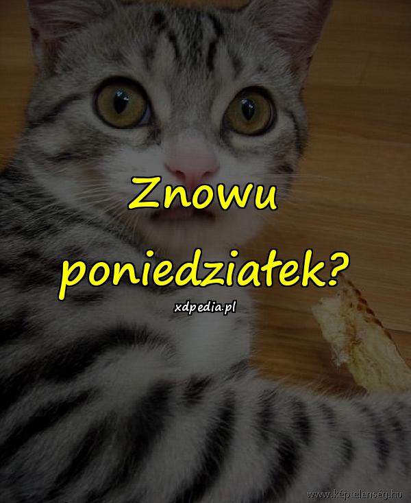 Znowu poniedziałek